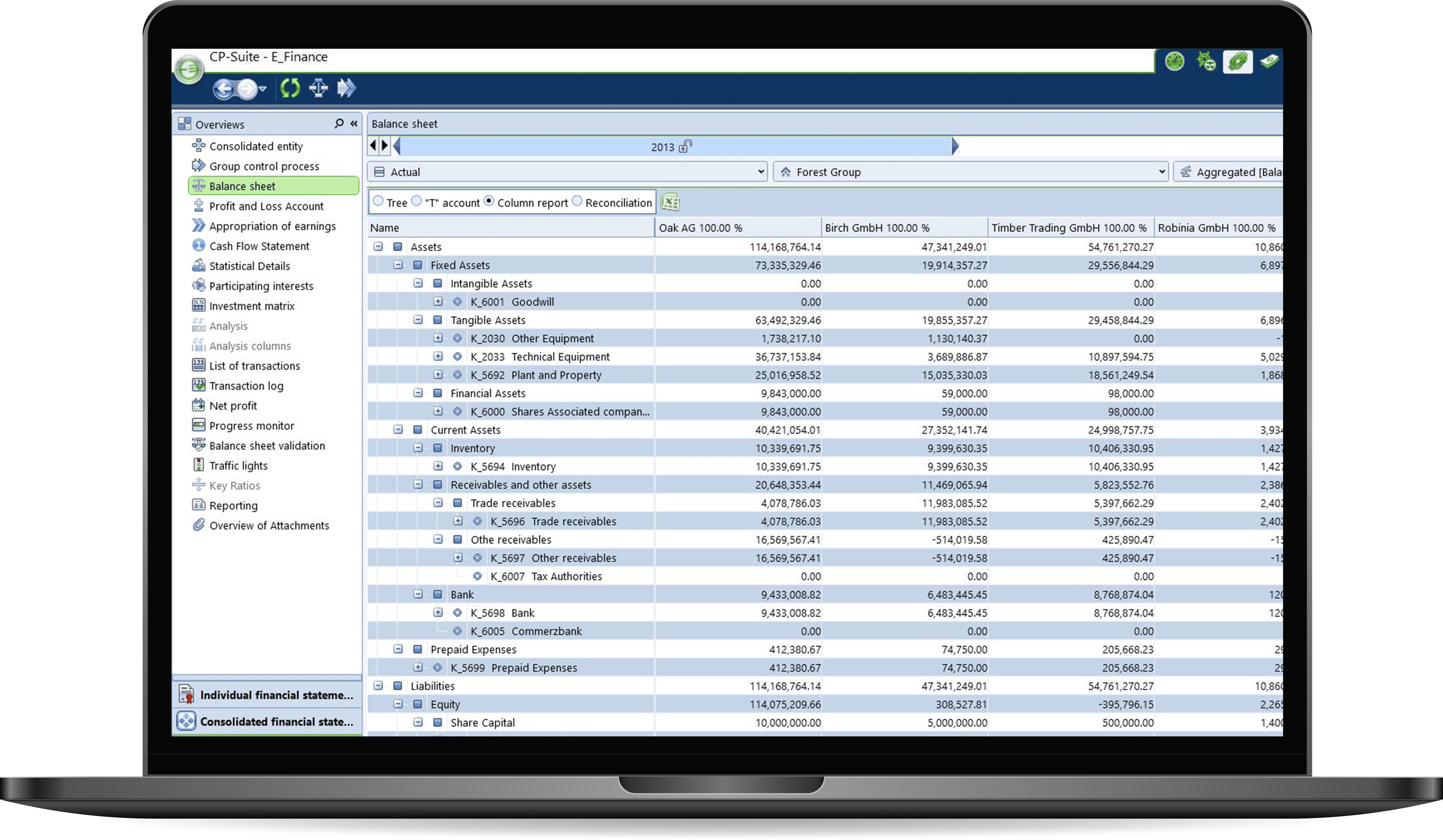 Consolidated-Financial-Statement