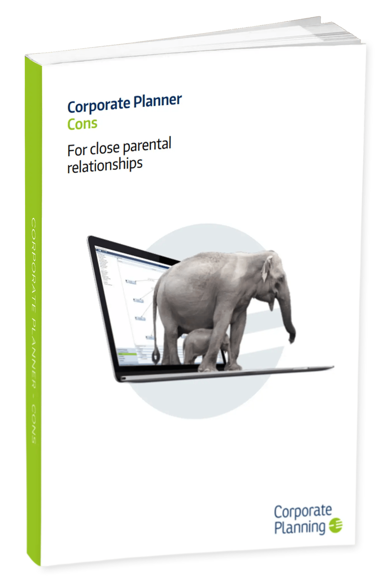 corporate-planner-consolidation-guide
