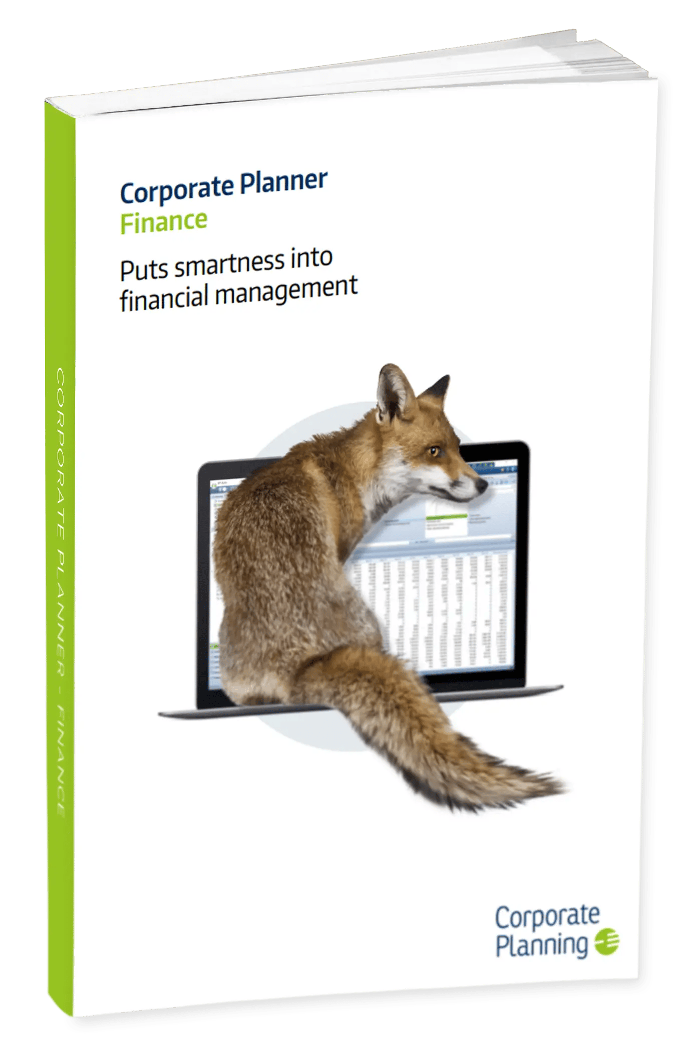 corporate-planner-finance-guide