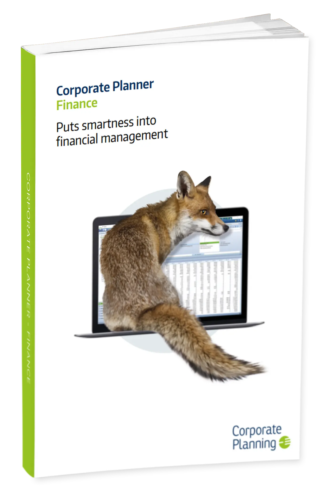 corporate-planner-finance-guide